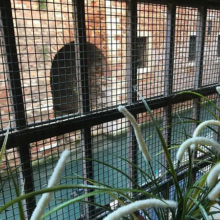 Apartment Mascherone