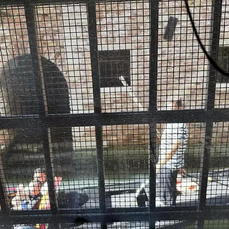 马斯切龙公寓 * 威尼斯