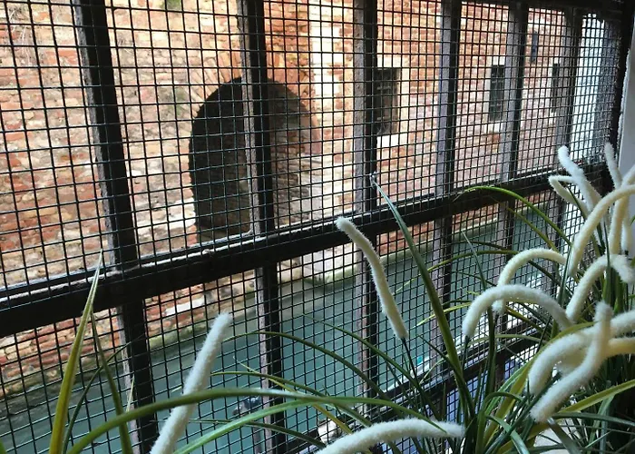 Apartamento Mascherone